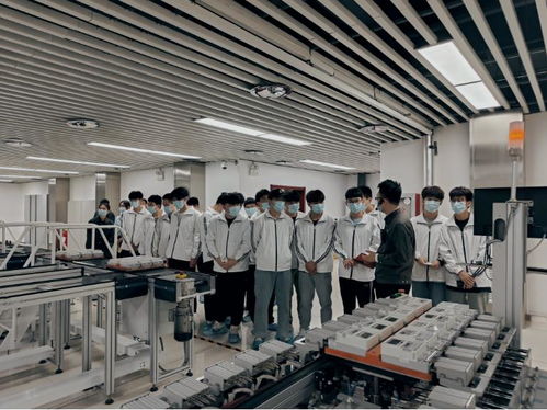 河南網絡技術服務蓬勃發展，助力數字強省建設邁入新階段